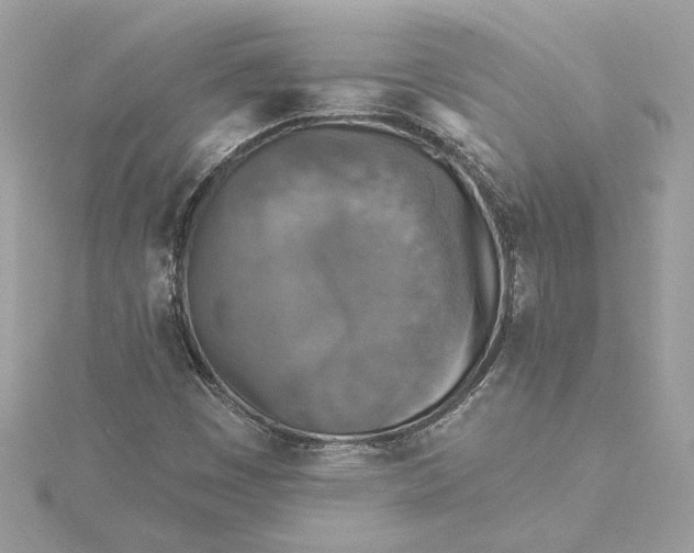 X0000115431449200911251216