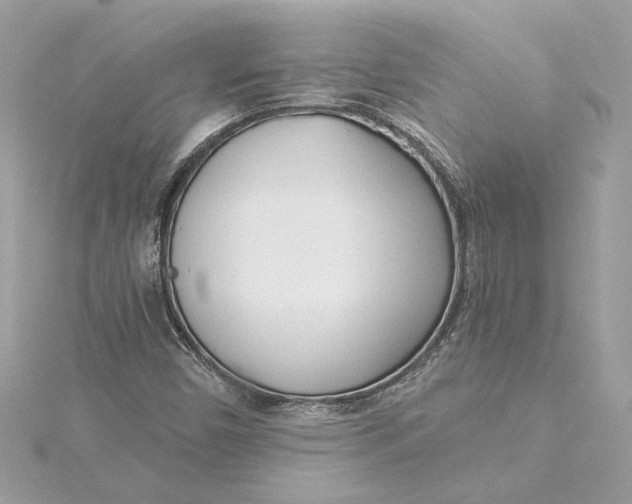 X0000115431450200911251216