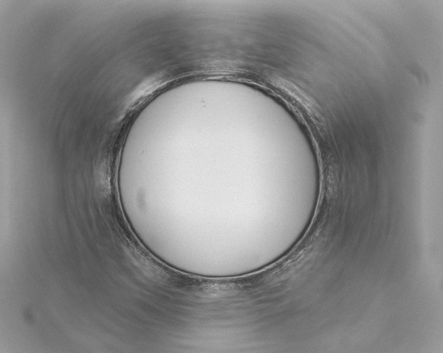 X0000115431451200911251215