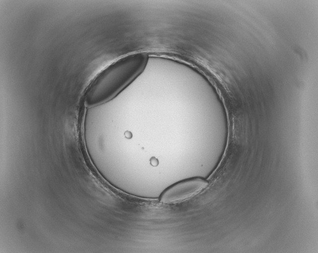 X0000115431452200911251215