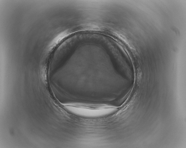 X0000115431455200911251215