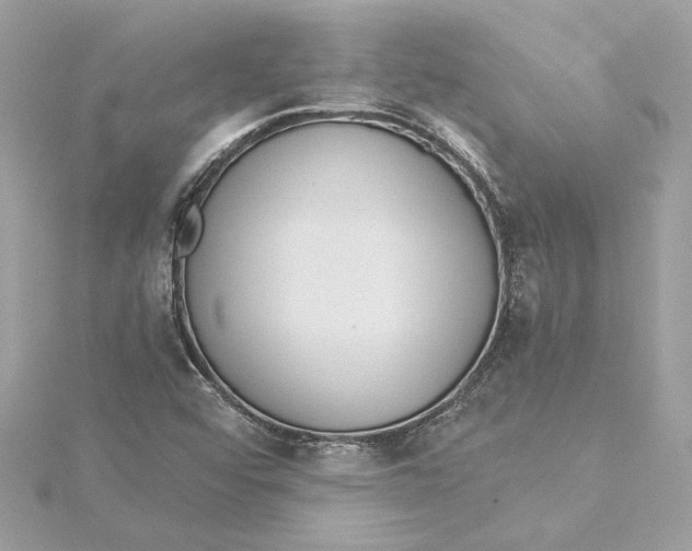 X0000115431456200911251215