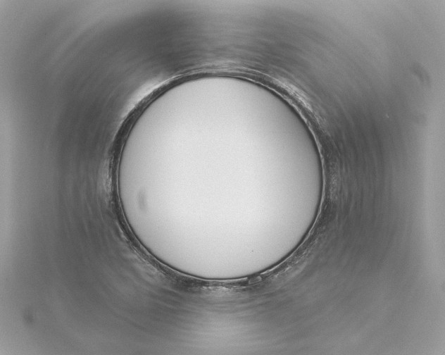 X0000115431458200911251215