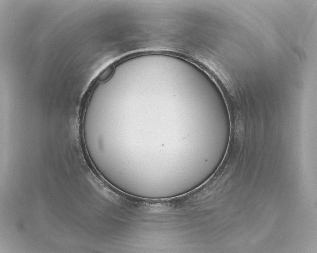 X0000115431460200911251215