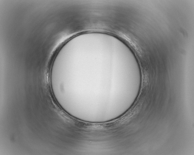 X0000115431462200911251215