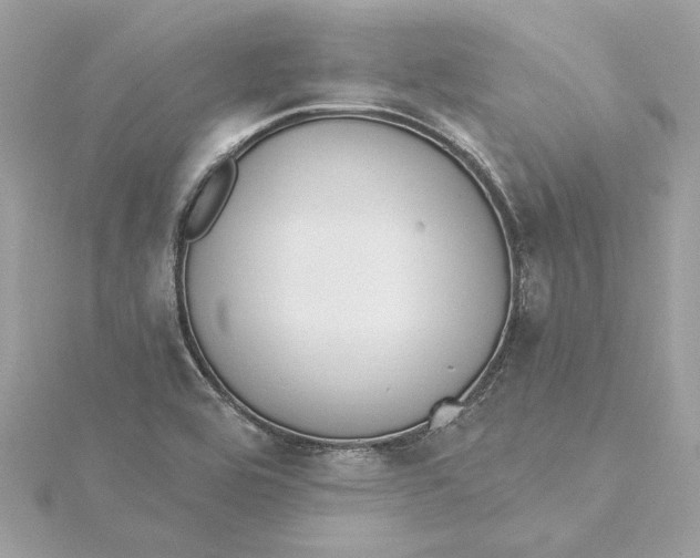 X0000115431464200911251215