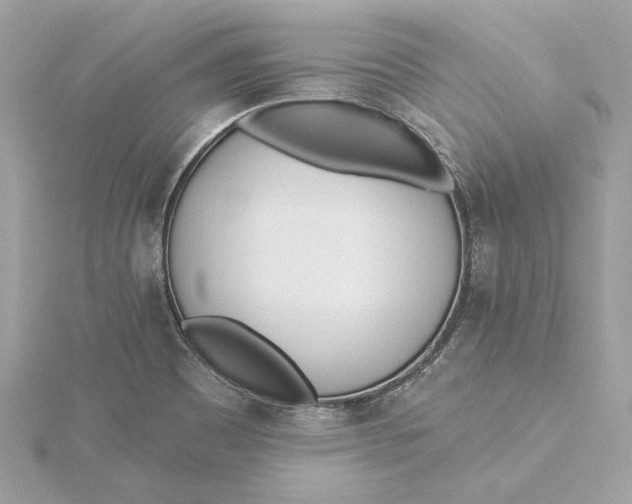 X0000115431465200911251215