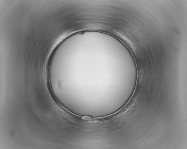 X0000115431467200911251215