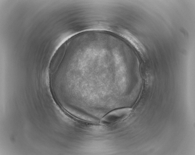 X0000115431468200911251215