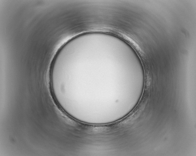 X0000115431471200911251215