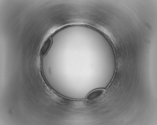 X0000115431472200911251215