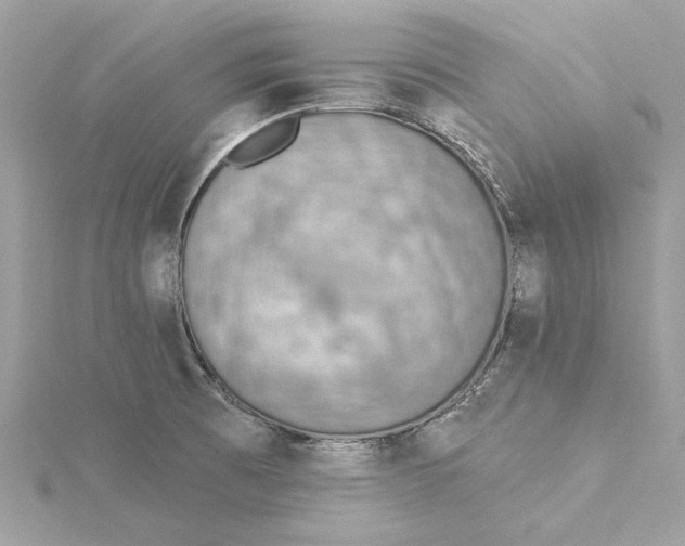 X0000115431473200911251215