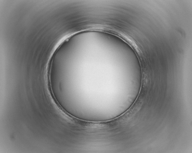 X0000115431475200911251215