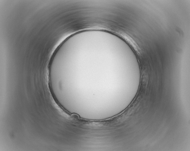 X0000115431476200911251215