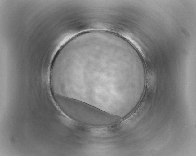 X0000115431477200911251215