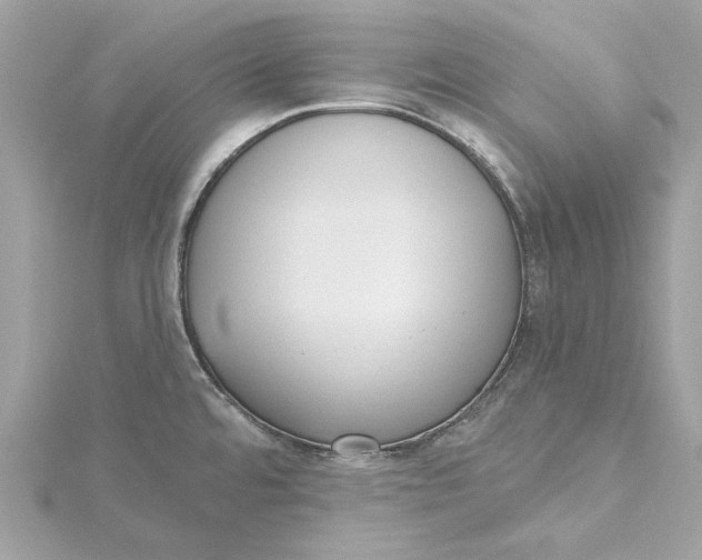 X0000115431480200911251215