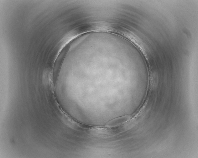 X0000115431481200911251215