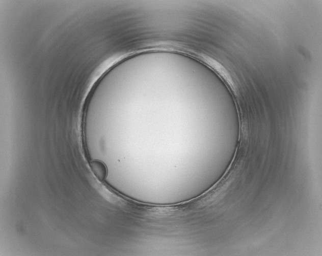 X0000115431482200911251215