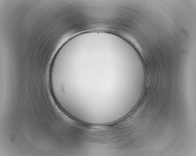 X0000115431483200911251215