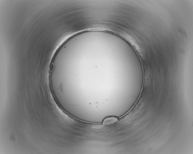 X0000115431484200911251215