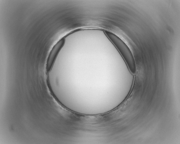 X0000115431485200911251215