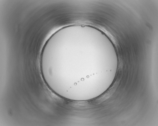 X0000115431486200911251215