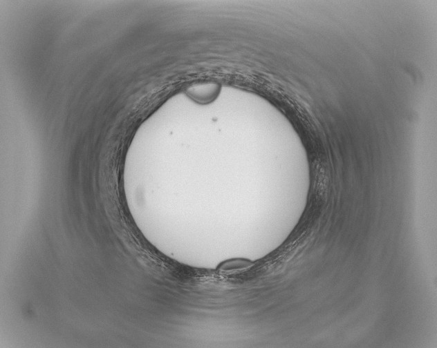 X0000115431489200911251214