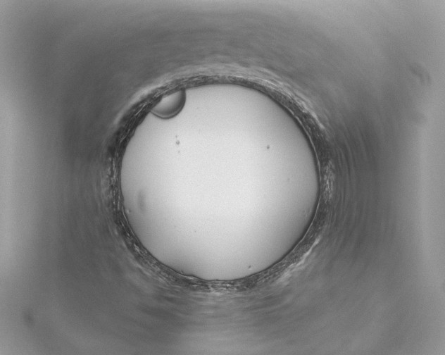 X0000115431494200911251214