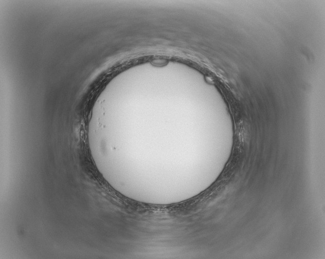 X0000115431495200911251214