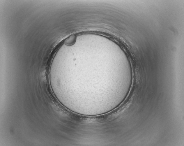 X0000115431497200911251214