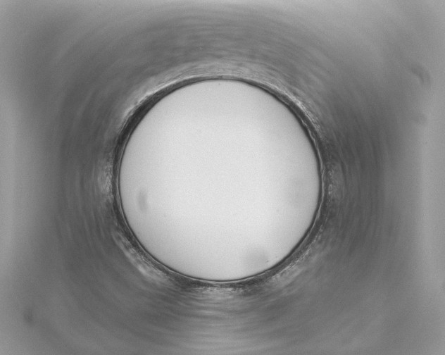 X0000115431499200911251214