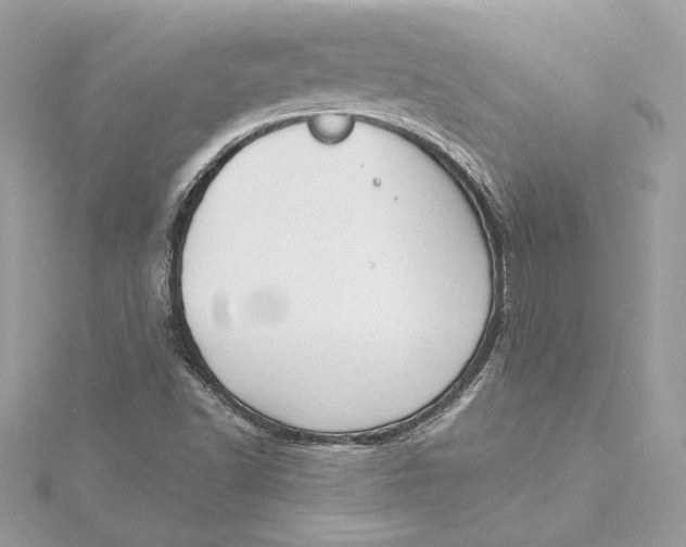 X0000115431502200911251214