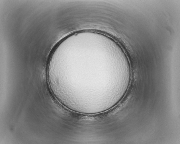 X0000115431505200911251214