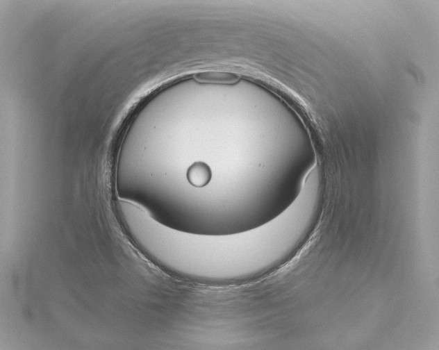 X0000115431506200911251214