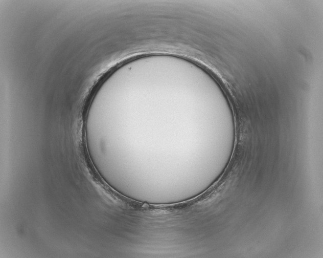 X0000115431507200911251214