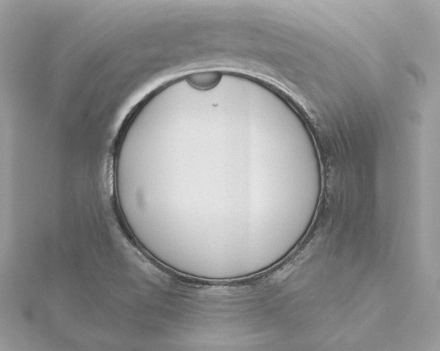 X0000115431510200911251215