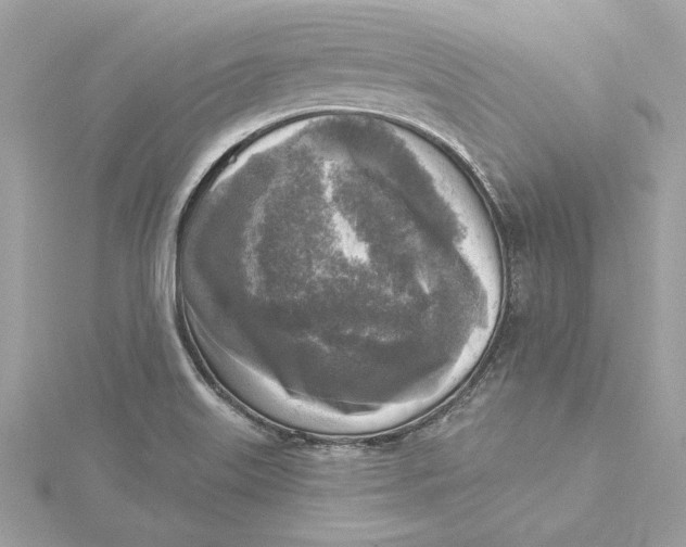 X0000115431515200911251215