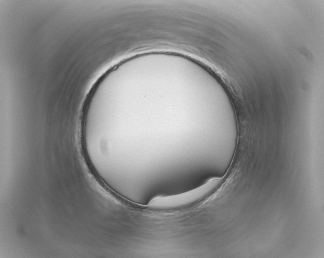 X0000115431518200911251215