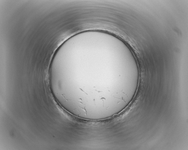 X0000115431521200911251215