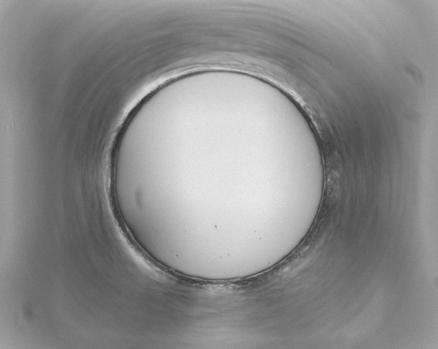 X0000115431523200911251215