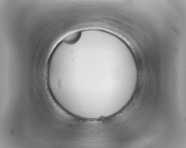 X0000115431526200911251215