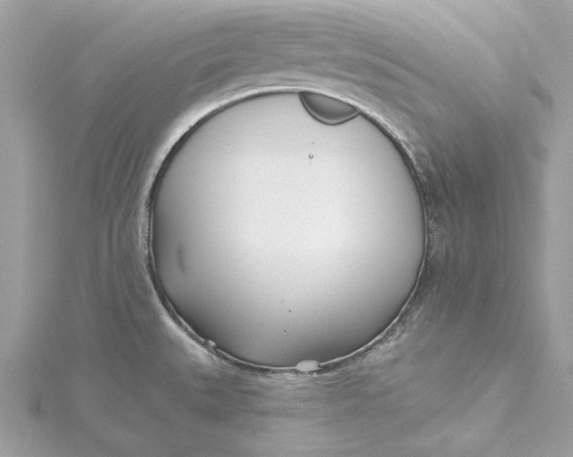 X0000115431527200911251215