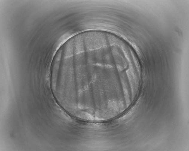 X0000115431529200911251215