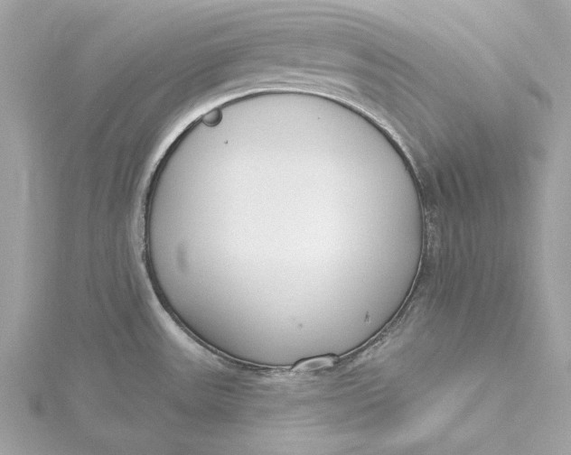 X0000115431531200911251215