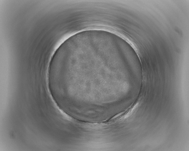 X0000115431533200911251215