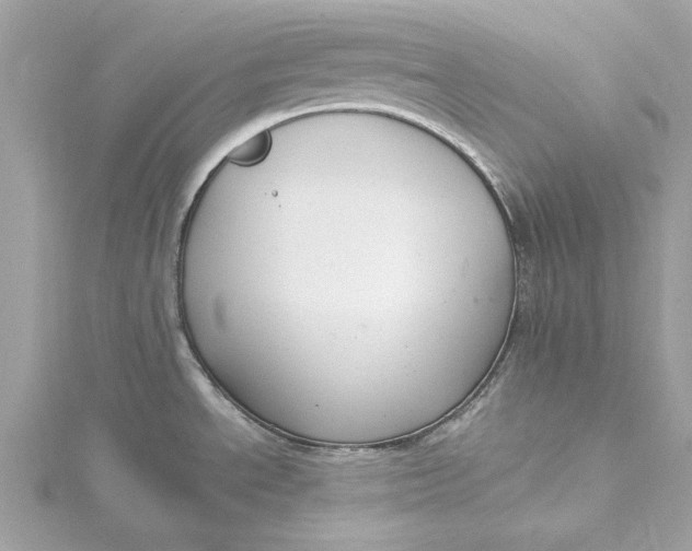 X0000115431534200911251215