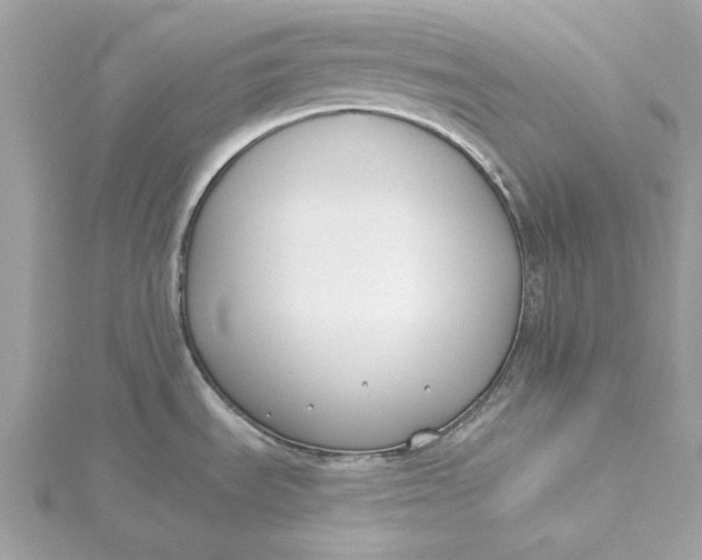 X0000115431535200911251215