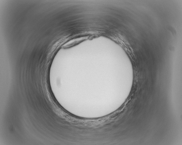 X0000115430001200912020934