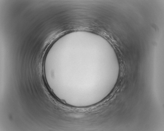 X0000115430002200912020934