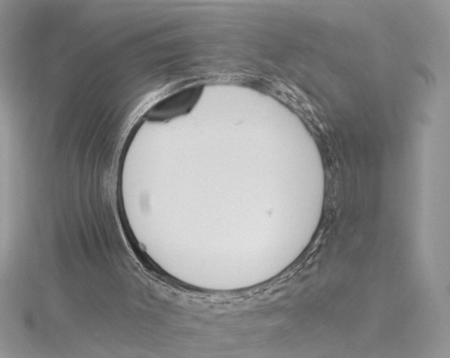 X0000115430003200912020934